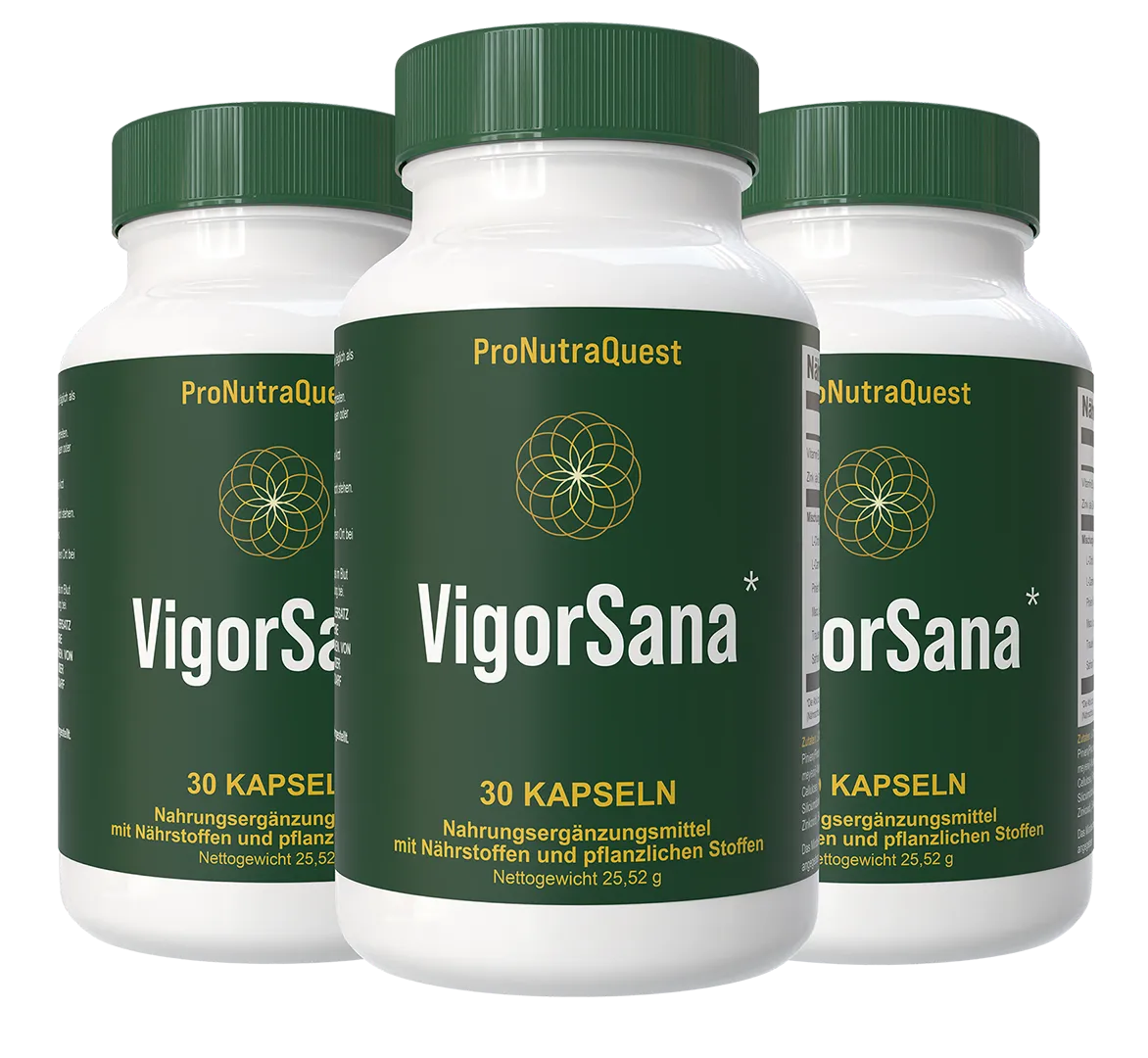 VigorSana Produkt